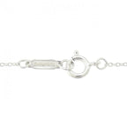 Tiffany & Co. Atlas Open Medallion Necklace