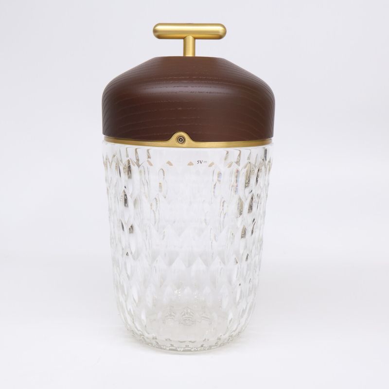 Hermes Saint Louis Folia Crystal Acorn Lamp Hat ) Brown Clear