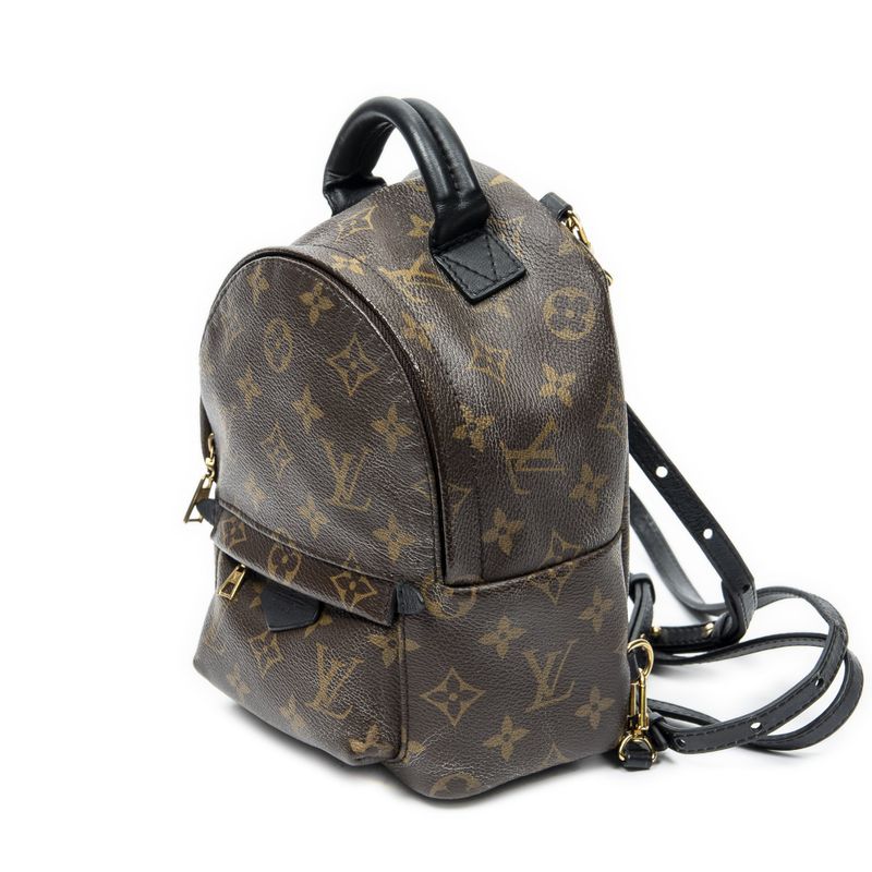 Louis Vuitton Palm Spring Brown Monogram Canvas Shoulder Bag