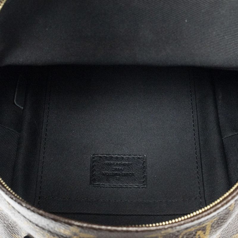 Louis Vuitton Palm Spring Brown Monogram Canvas Shoulder Bag