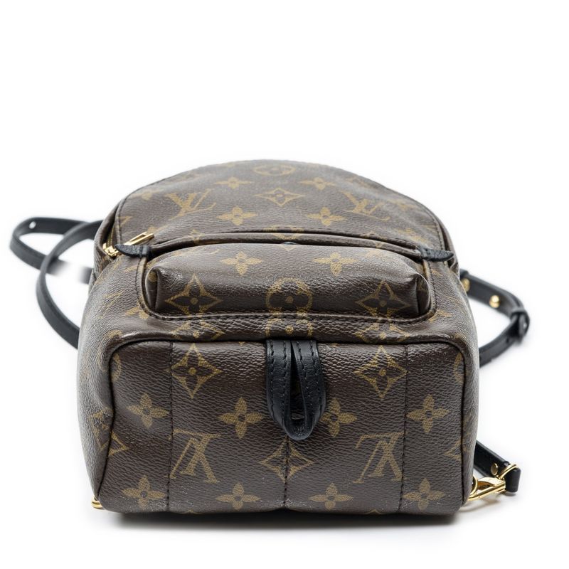 Louis Vuitton Palm Spring Brown Monogram Canvas Shoulder Bag