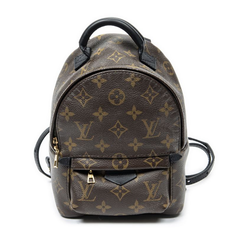 Louis Vuitton Palm Spring Brown Monogram Canvas Shoulder Bag