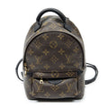 Louis Vuitton Palm Spring Brown Monogram Canvas Shoulder Bag