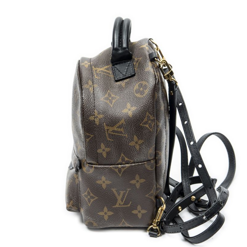 Louis Vuitton Palm Spring Brown Monogram Canvas Shoulder Bag