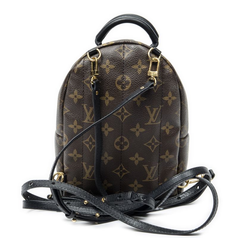Louis Vuitton Palm Spring Brown Monogram Canvas Shoulder Bag