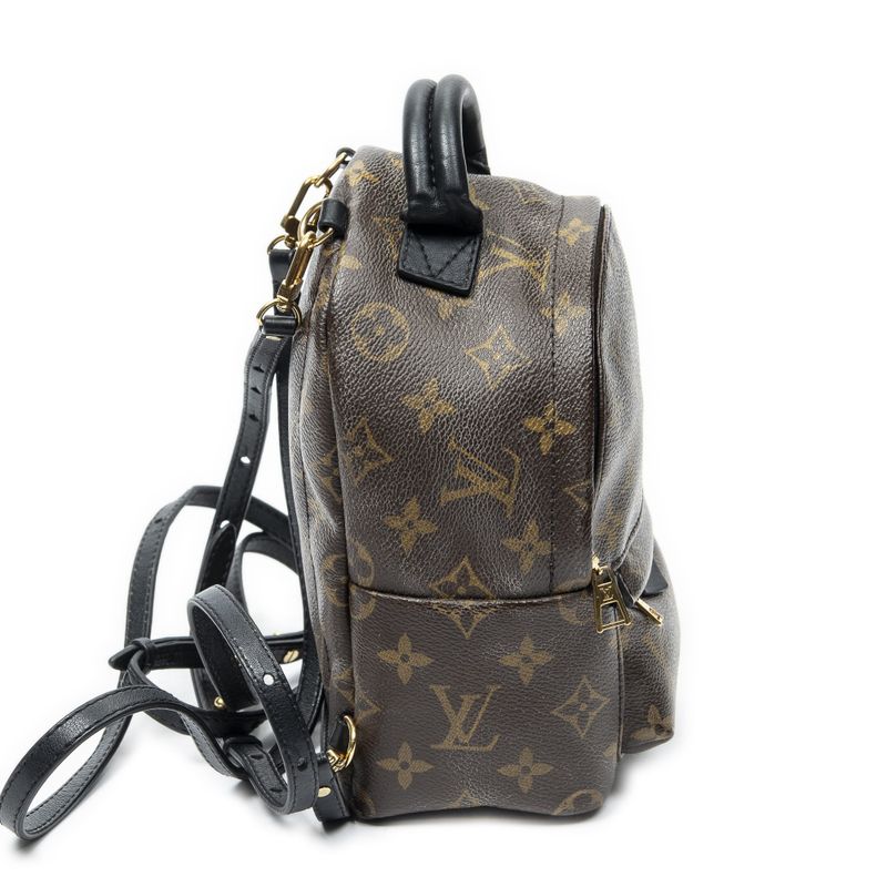 Louis Vuitton Palm Spring Brown Monogram Canvas Shoulder Bag