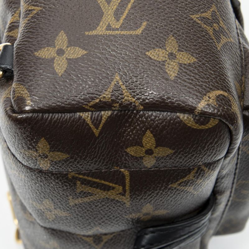 Louis Vuitton Palm Spring Brown Monogram Canvas Shoulder Bag