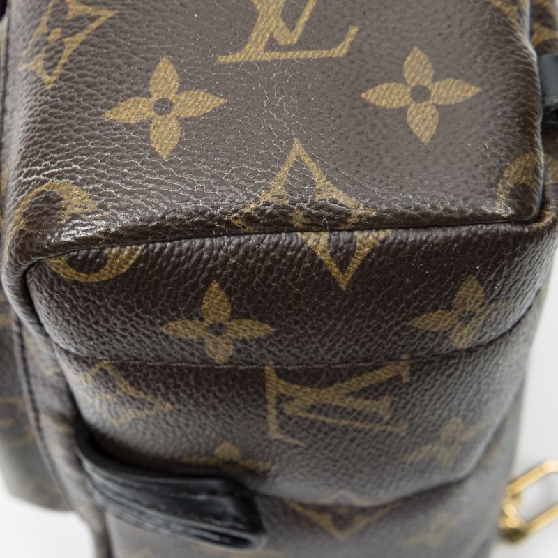 Louis Vuitton Palm Spring Brown Monogram Canvas Shoulder Bag