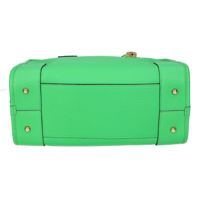 Loewe Limited Edition Grain Calf Leather Anagram Amazona 28 ) Green