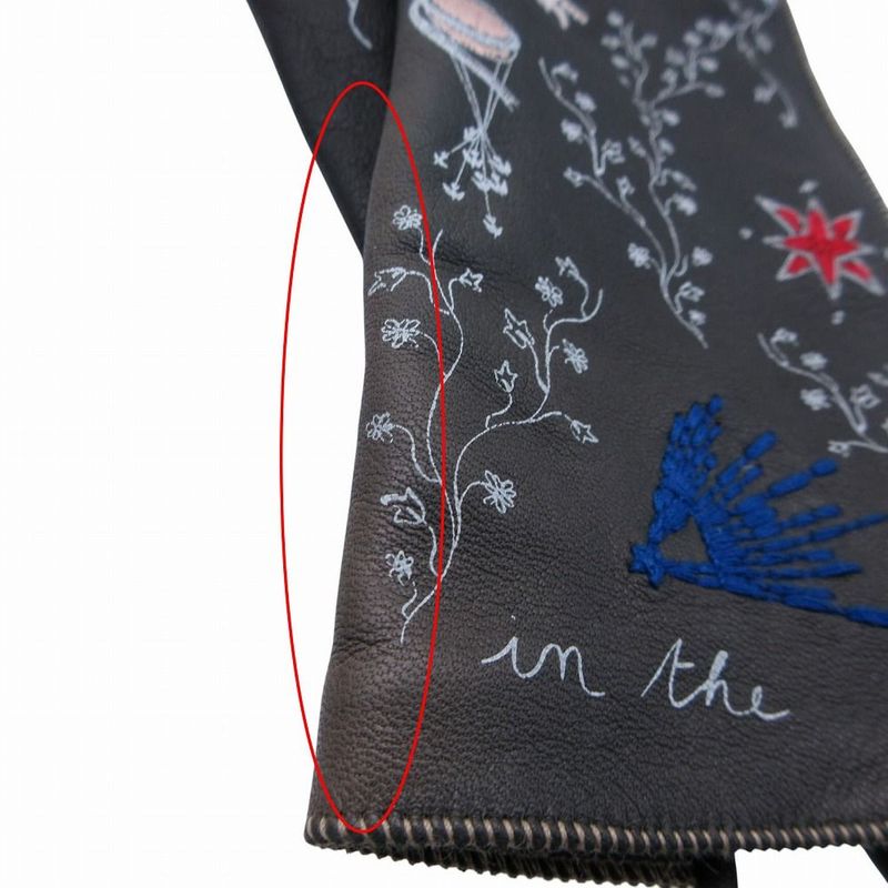 Dior Lamb Leather Gloves 7