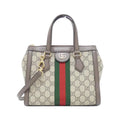 Gucci Ophidia Bag Leather Canvas