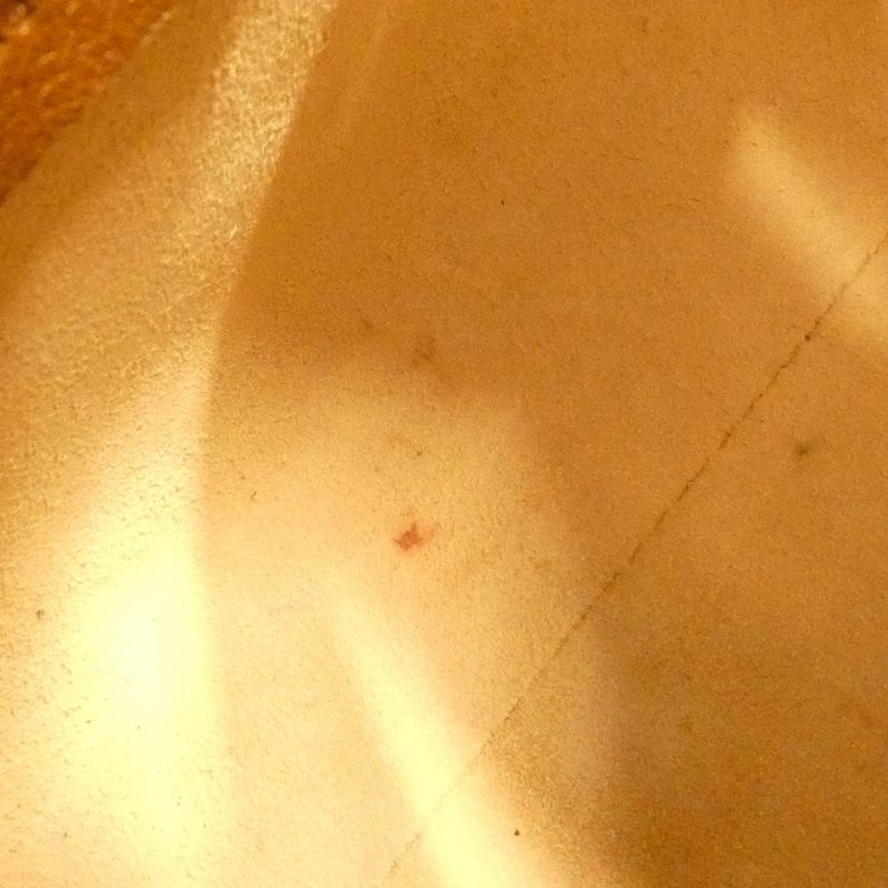 Gucci Diana Bag Leather Brown