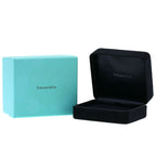 Tiffany & Co Gray Ski Diamond Necklace