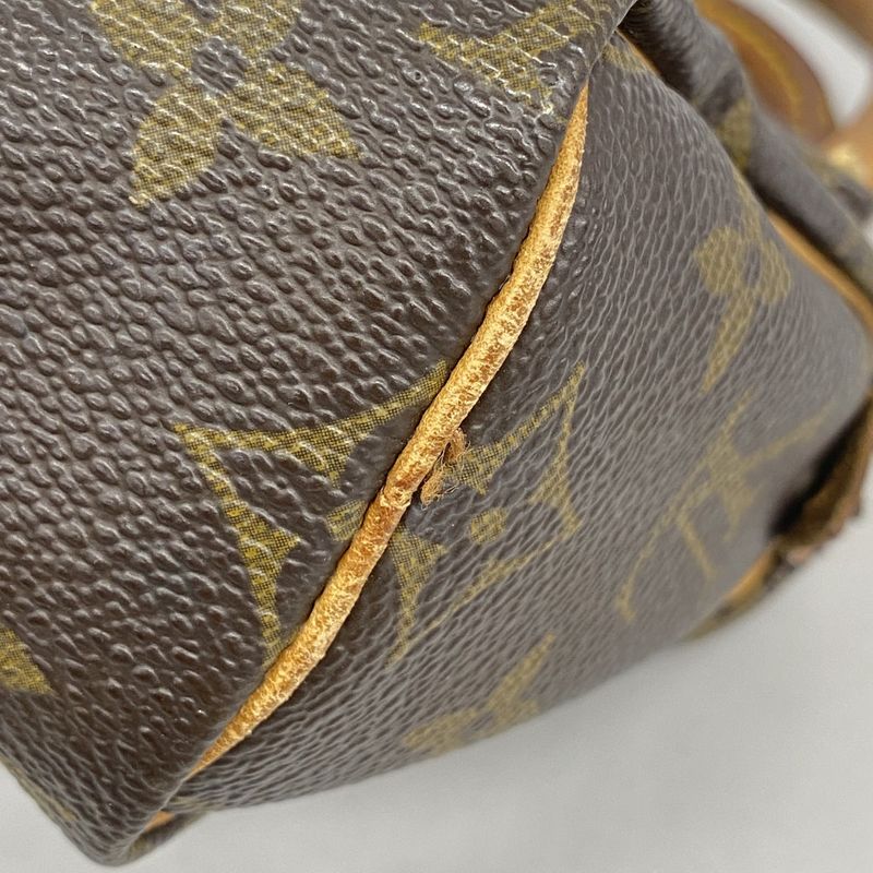 Louis Vuitton Handbag Monogram Mini Speedy Brown 2-Way Bag