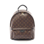 Louis Vuitton Backpack Palm Spring MM