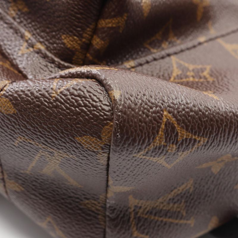 Louis Vuitton Backpack Palm Spring MM
