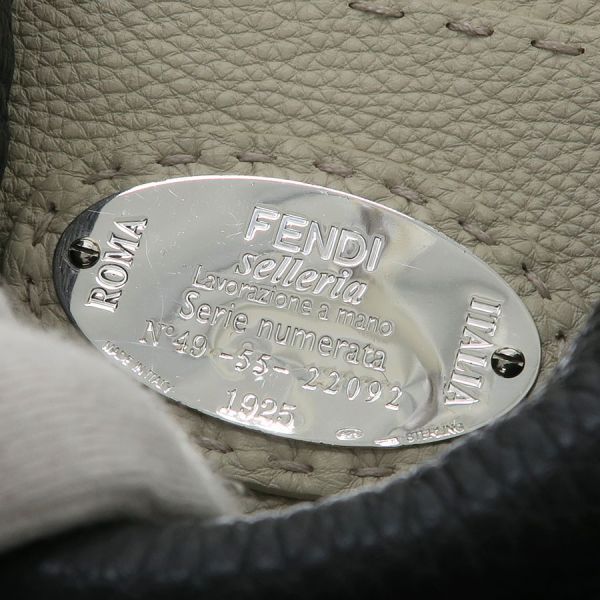 Fendi Peekaboo ISee Small Selleria Shoulder Bag
