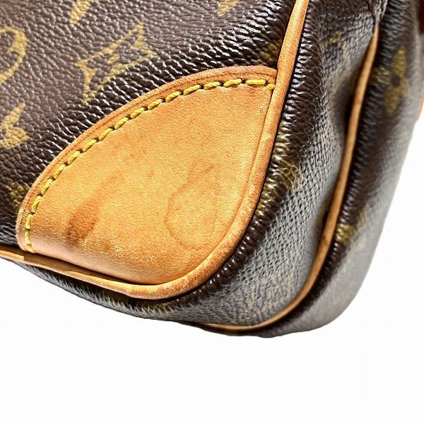 Louis Vuitton Monogram Amazon Shoulder Bag — view 7