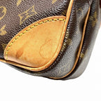 Louis Vuitton Monogram Amazon Shoulder Bag — view 7