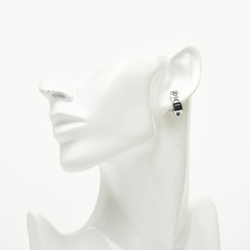 Dior Logo Earrings Silver Plated