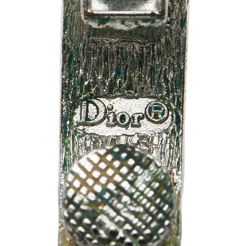 Dior Logo Earrings Silver Plated