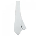 Dior Necktie Gray