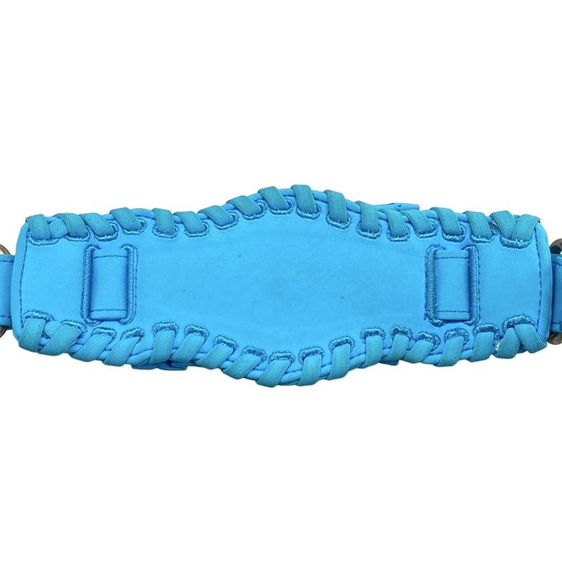 Balenciaga Shoulder Bag le Cage XS Blue Frill