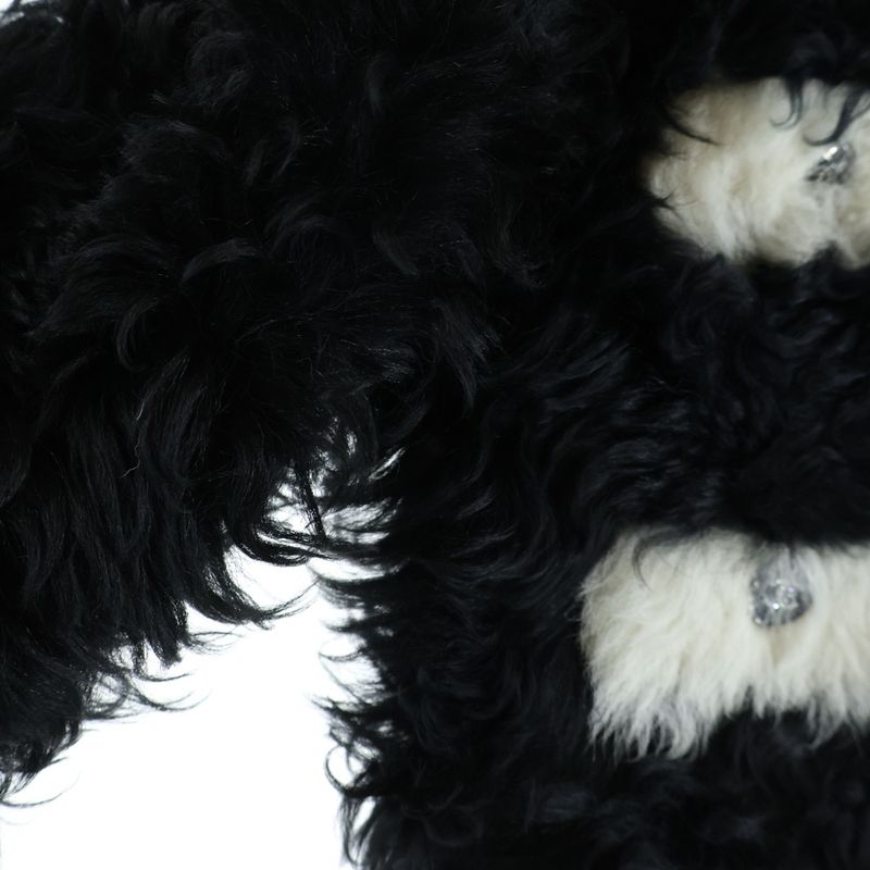 Chanel CC Logo Button Fur Jacket Shearling Black White