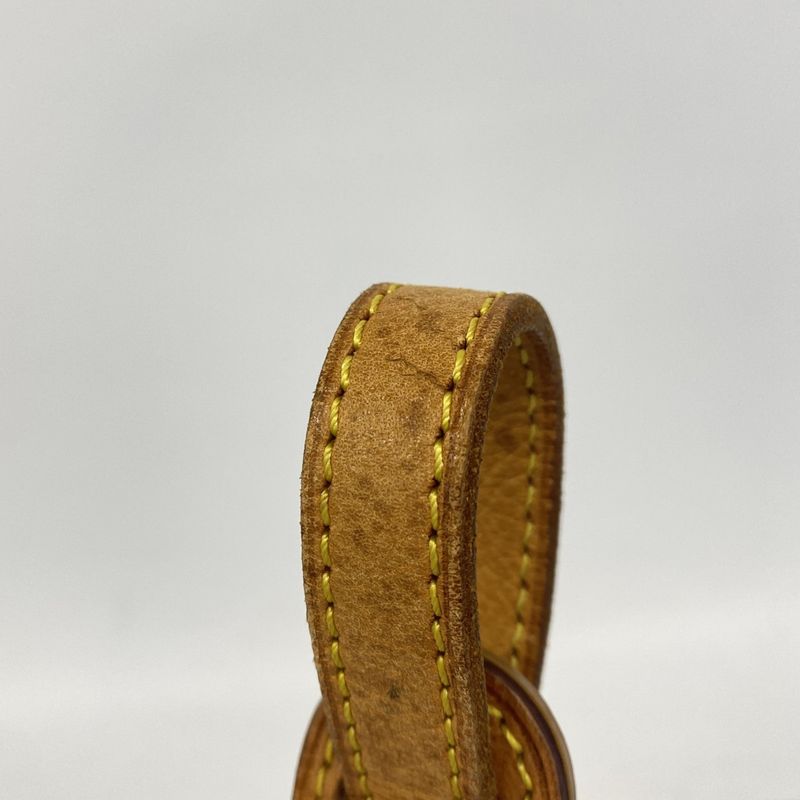 Louis Vuitton Shoulder Bag Monogram Blois Brown