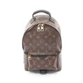 Louis Vuitton Backpack Palm Spring PM Canvas