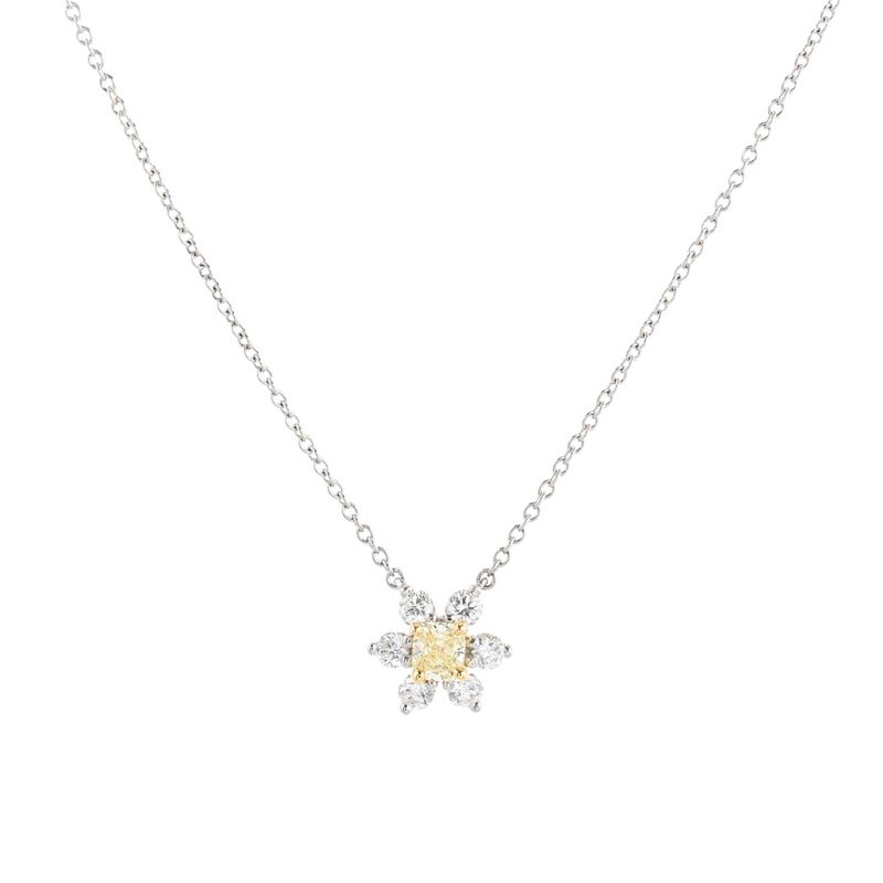 Tiffany & Co Necklace