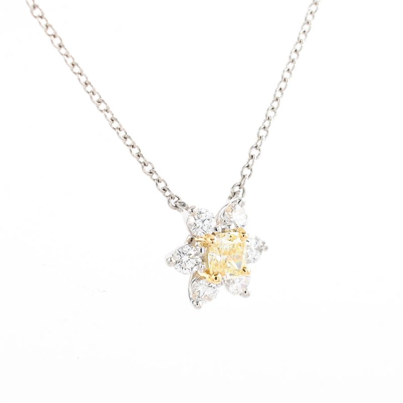 Tiffany & Co Necklace