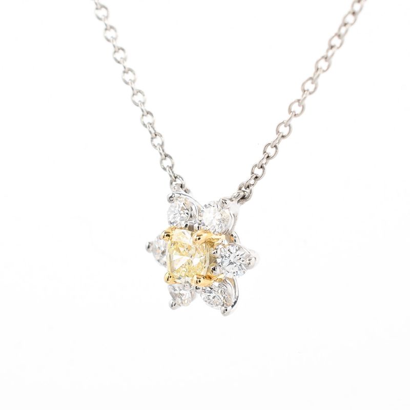 Tiffany & Co Necklace