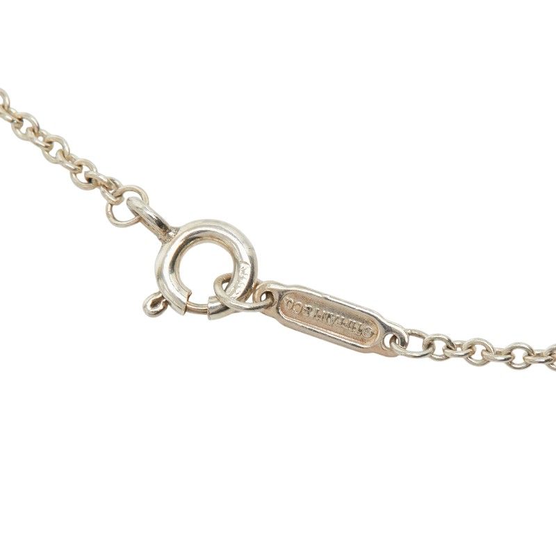 Tiffany & Co Return to Color Splash Oval Silver Necklace