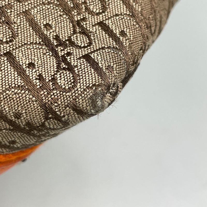 Dior Street Chic Handbag Trotter Pattern Canvas Orange Brown