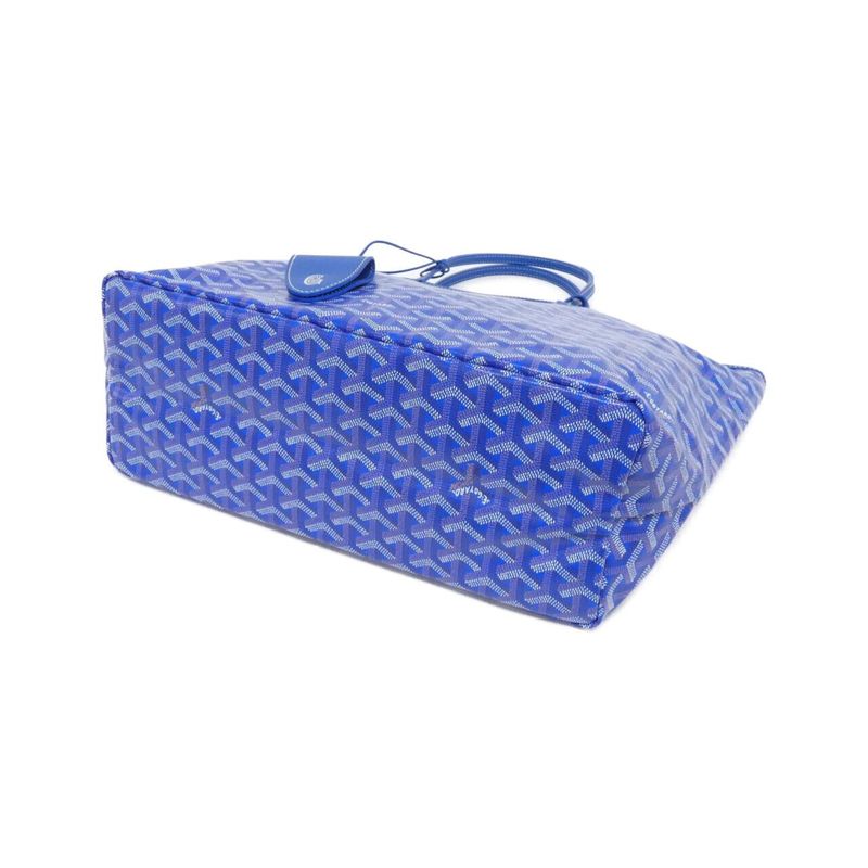 Goyard Saint Louis PM Ama Bag