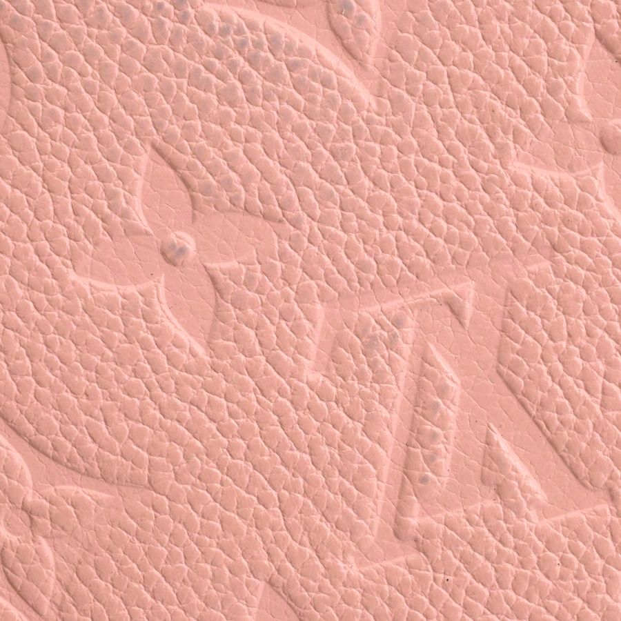 Louis Vuitton Shoulder Bag Pochette Felicie Rose Pu-dol — view 8