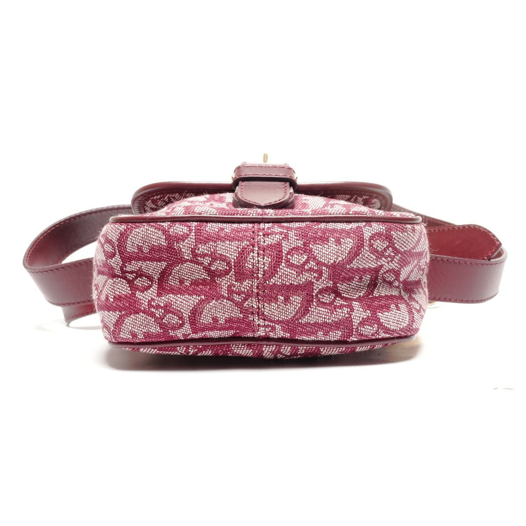 Dior Shoulder Bag Trotter Canvas — view 7
