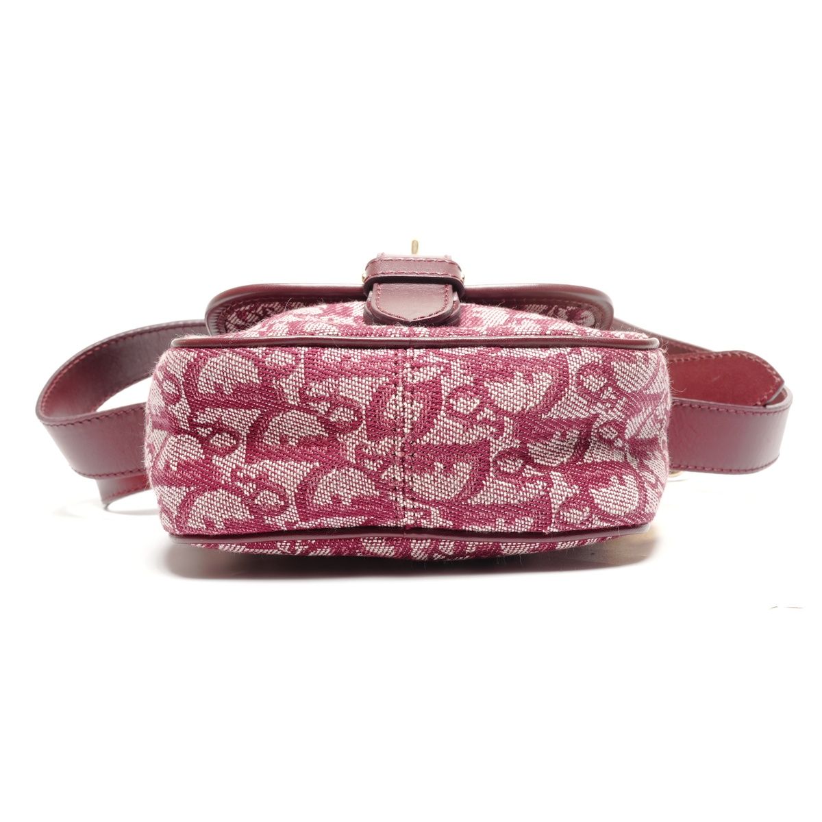 Dior Shoulder Bag Trotter Canvas — view 7