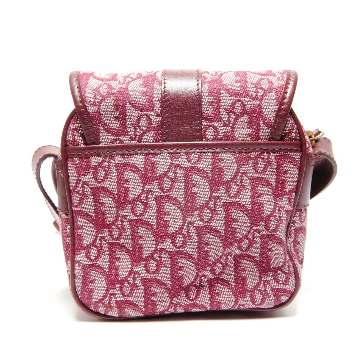 Dior Shoulder Bag Trotter Canvas — view 2