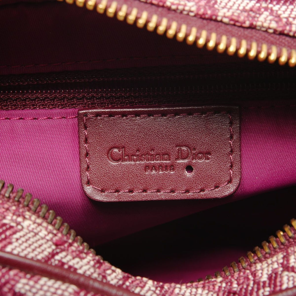 Dior Shoulder Bag Trotter Canvas — view 9