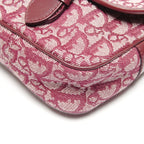 Dior Shoulder Bag Trotter Canvas — view 6