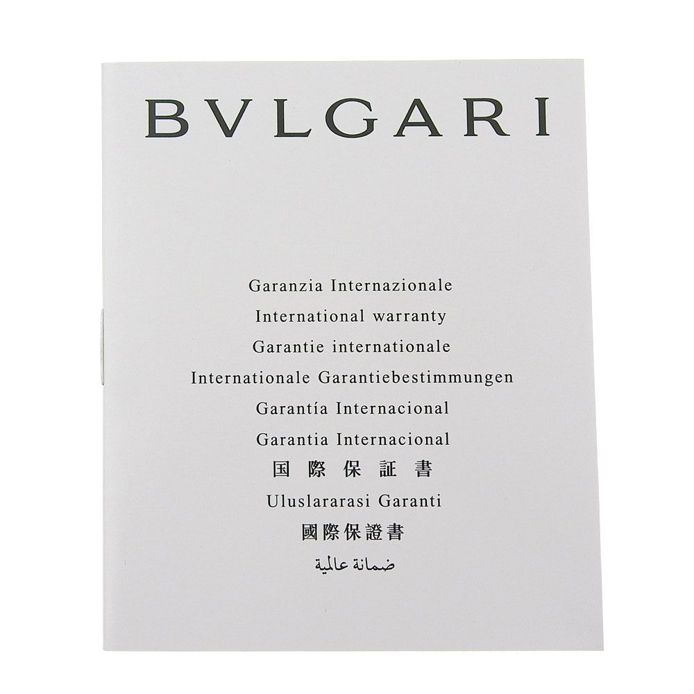 Bvlgari Ashoma Stainless Steel Silver Automatic Winding Analog Display Watch — view 7