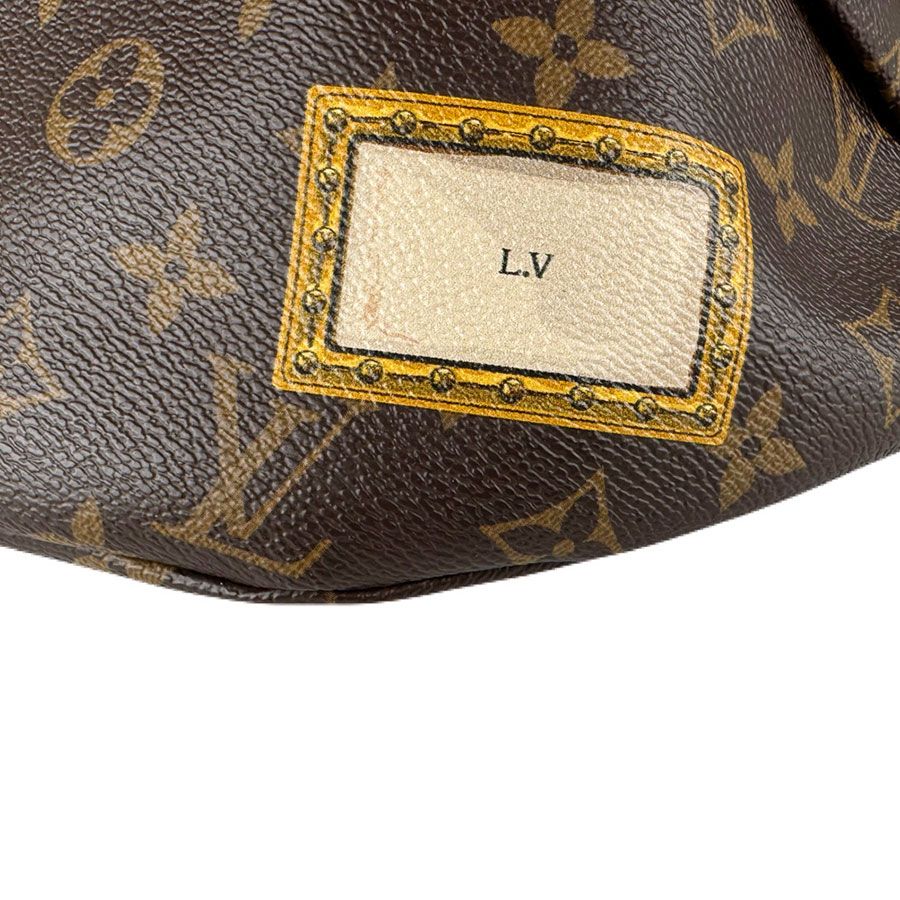 Louis Vuitton Waist Bag Monogram Macassar My LV World Tour — view 9