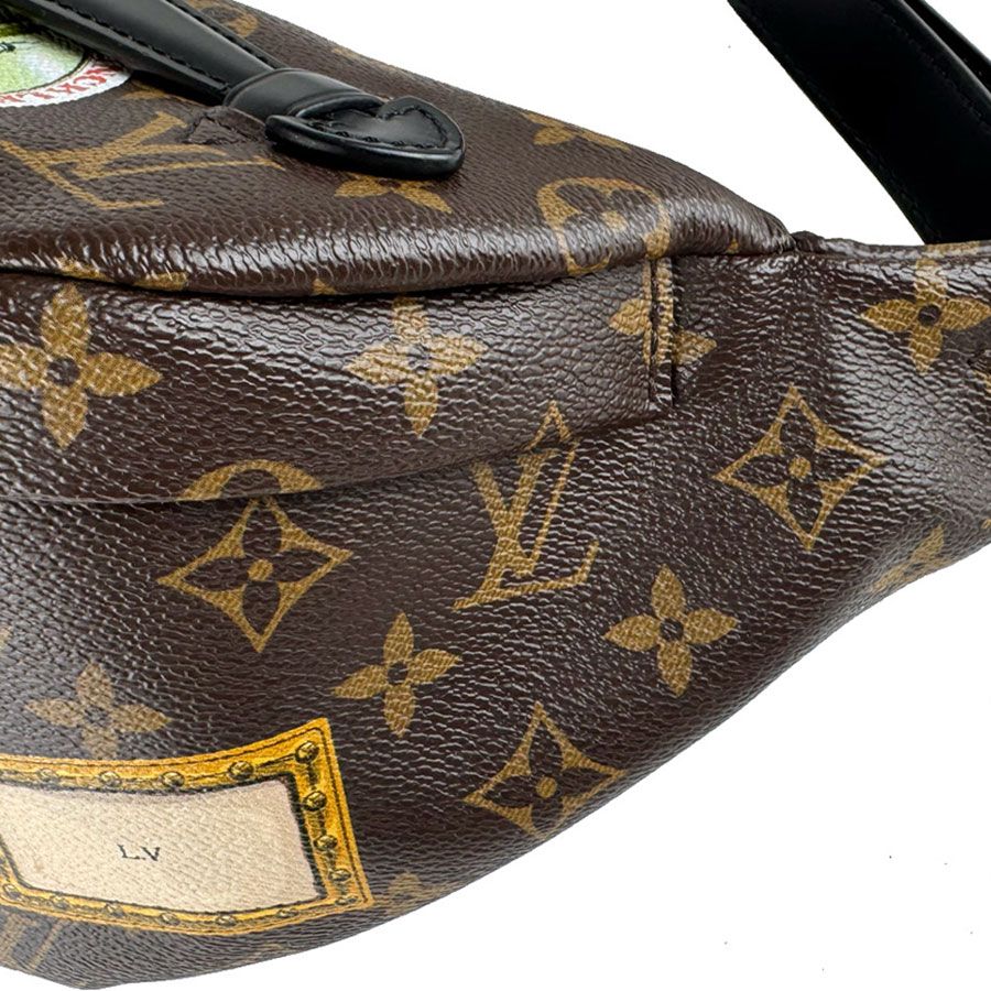 Louis Vuitton Waist Bag Monogram Macassar My LV World Tour — view 7
