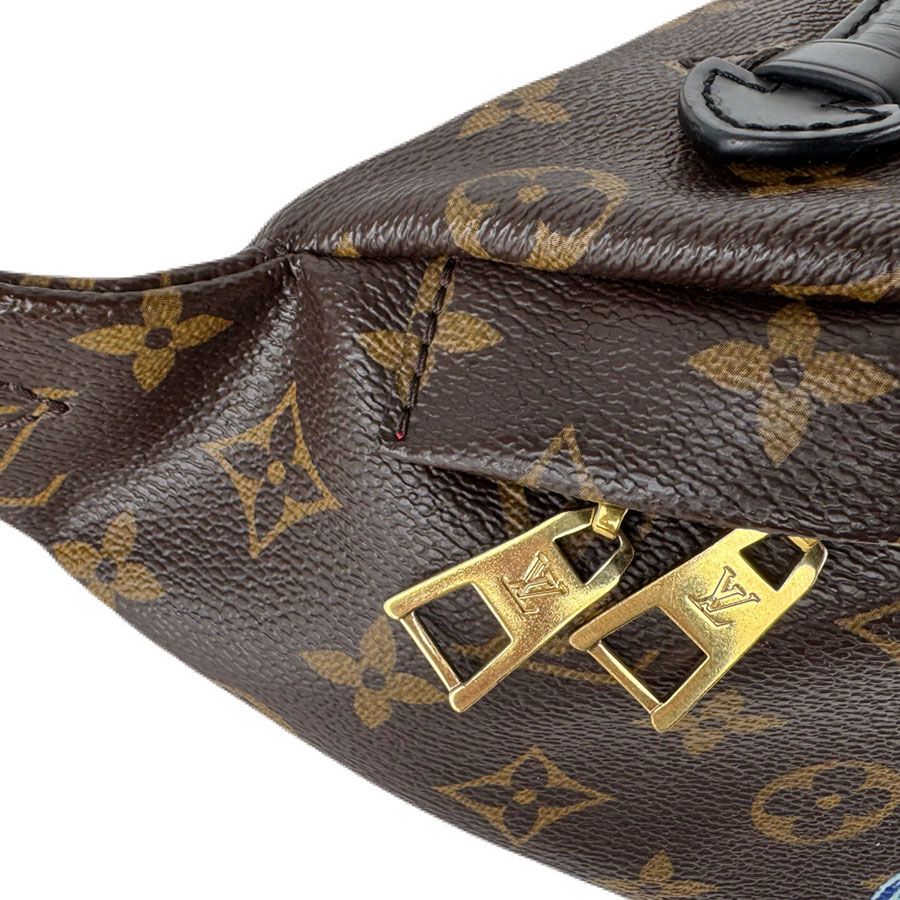 Louis Vuitton Waist Bag Monogram Macassar My LV World Tour — view 6