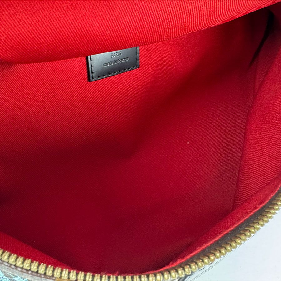 Louis Vuitton Waist Bag Monogram Macassar My LV World Tour — view 5