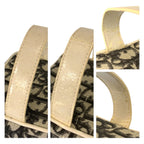 Dior Trotter White Black Handbag Vanity Bag — view 5