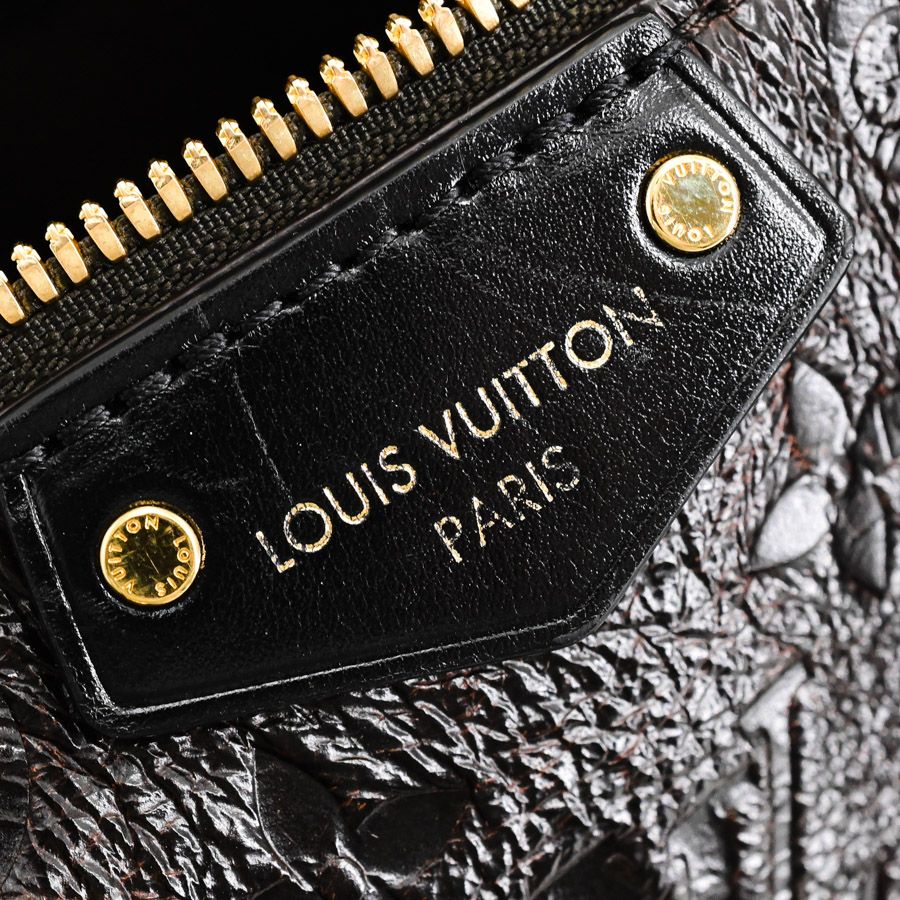 Louis Vuitton Handbag Speedy Trunk 25 Dark Brown Acajou — view 8