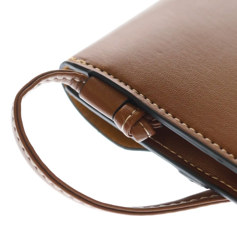 Celine Sunglasses Case Mini Shoulder Bag Brown Leather — view 6